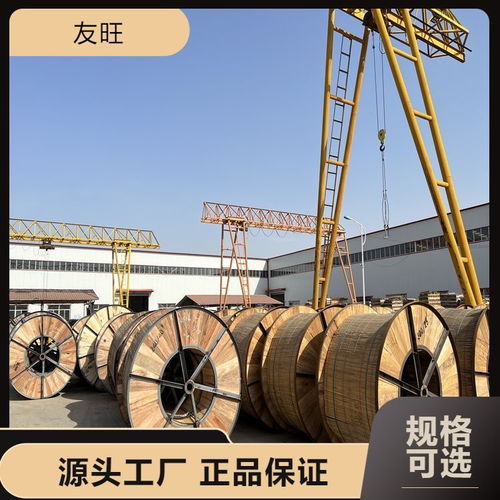 電力工程中JL LB1A 300/50鋁包鋼芯鋁絞線的應用與優越防腐耐候性能解析